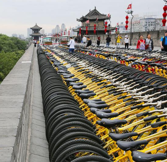 门票+自行车租赁